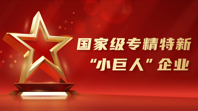 喜报！尊龙凯时中国游荣获国家级专精特新“小巨人”企业认证